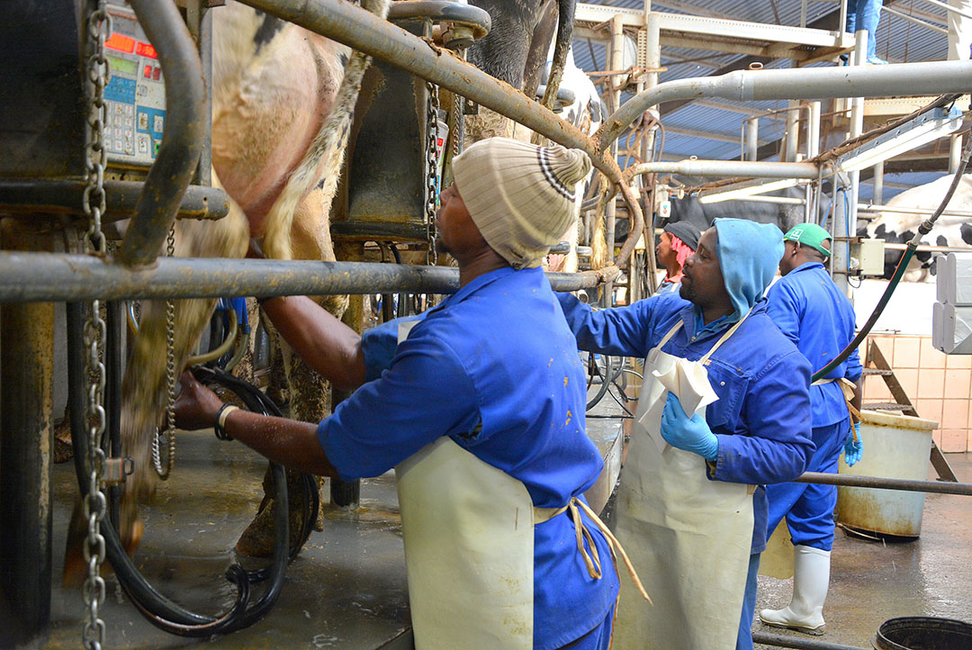 FreshDairy Farm